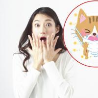 74位のイメージ