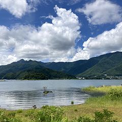 55位のイメージ