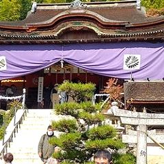 137位のイメージ