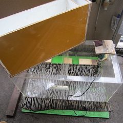 19位のイメージ