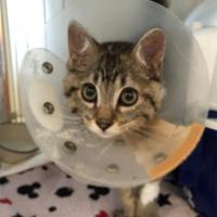 117位のイメージ