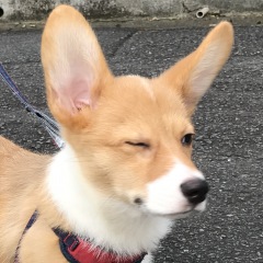 32位のイメージ