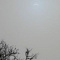 101位のイメージ