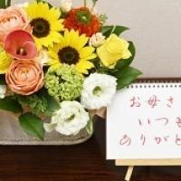 17位のイメージ