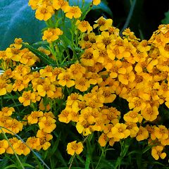 27位のイメージ