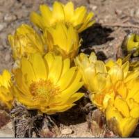 68位のイメージ