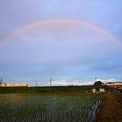 100位のイメージ