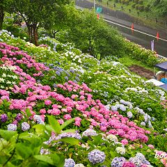 29位のイメージ