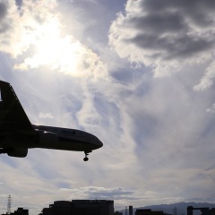 29位のイメージ