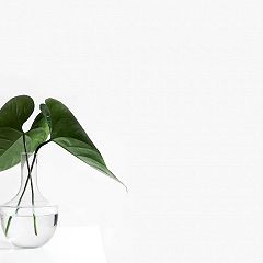 25位のイメージ