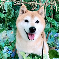 1086位のイメージ