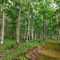 1371位のイメージ