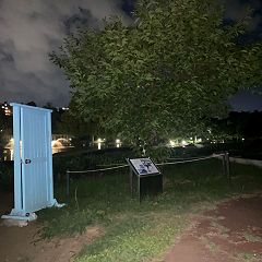 85位のイメージ