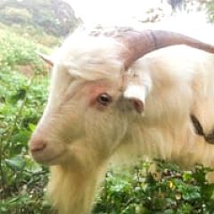 80位のイメージ