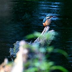 15位のイメージ