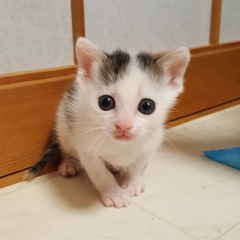 77位のイメージ