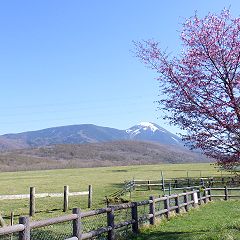 29位のイメージ