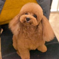 64位のイメージ