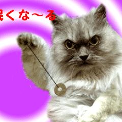 30位のイメージ