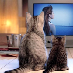 72位のイメージ