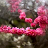 193位のイメージ