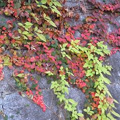 23位のイメージ