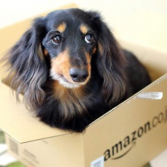 17位のイメージ