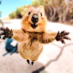 145位のイメージ