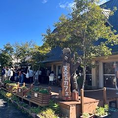 12位のイメージ