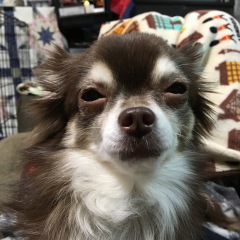 75位のイメージ