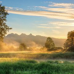 121位のイメージ