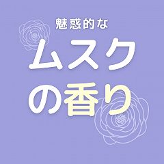 120位のイメージ