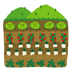 19位のイメージ