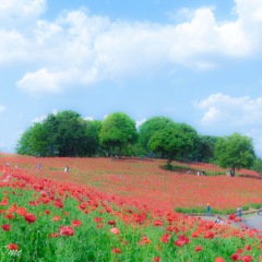 12位のイメージ