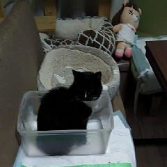 48位のイメージ