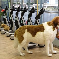 21位のイメージ