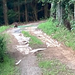 1377位のイメージ