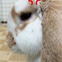 53位のイメージ