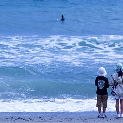 299位のイメージ