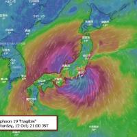 23位のイメージ