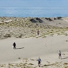 52位のイメージ