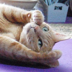 46位のイメージ