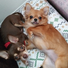 24位のイメージ