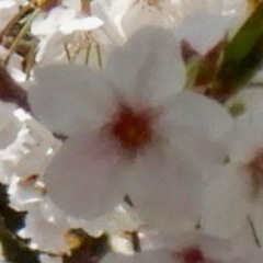 129位のイメージ