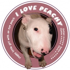 75位のイメージ