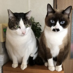 40位のイメージ