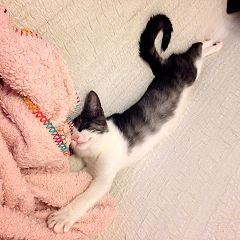 18位のイメージ