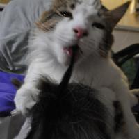 21位のイメージ