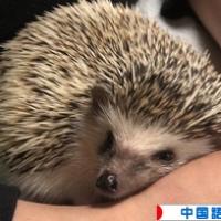 85位のイメージ