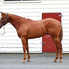 90位のイメージ